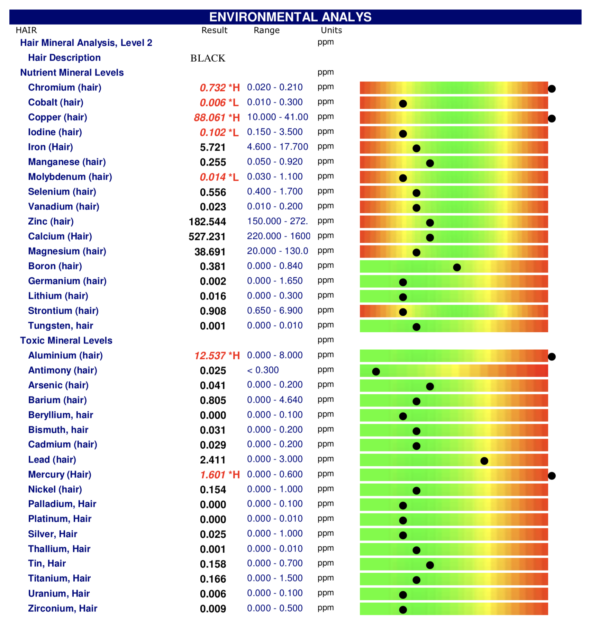 Hair Mineral & Heavy Metal Analysis - Image 2