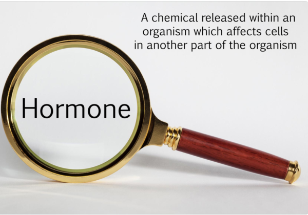 Female Hormone Profile (Saliva Test) - Image 5