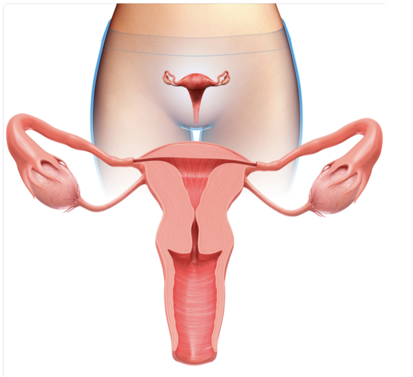 Vaginal Microbiome Profile (Swab)