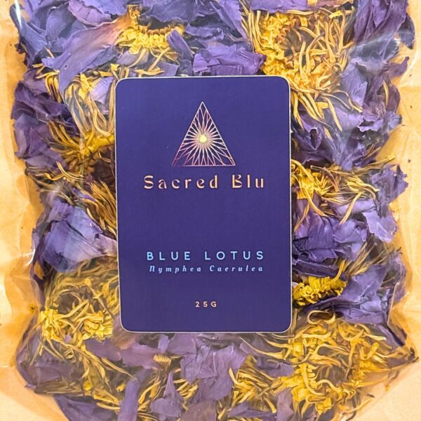 Blue lotus flower