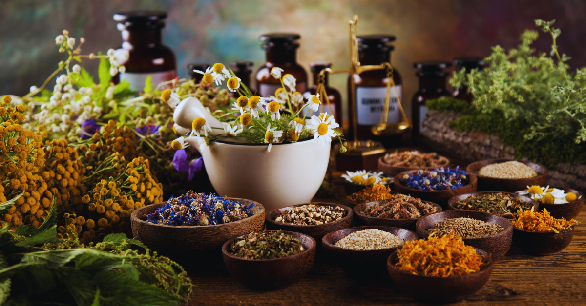 herbal medicine for Long Covid recovery