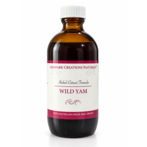 Wild Yam (Dioscorea villosa)
